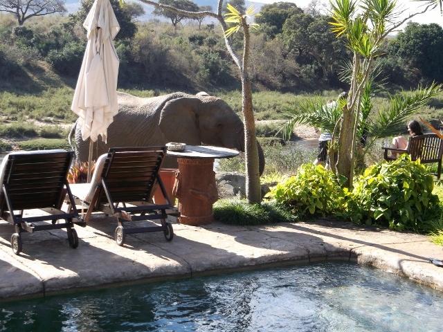 Khandizwe Kruger Villa Malelane Szoba fotó